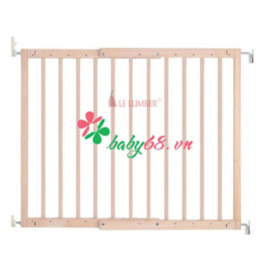 23231399 189637148252366 6672412449231955455 N