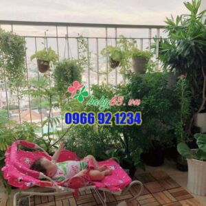 590420b2a54878162159