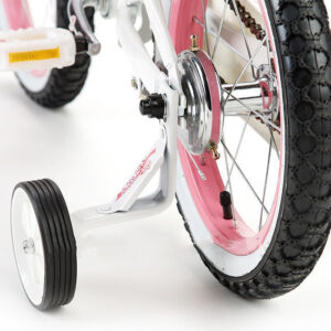 Xe đạp RoyalBaby Jenny G-4