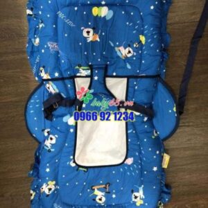 B49ca52a20d0fd8ea4c1