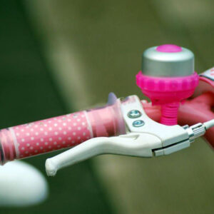 Xe đạp RoyalBaby Jenny G-4