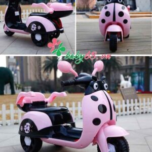 Tb2pj7sewswbunjssrbxxa0mvxa !!2521157402