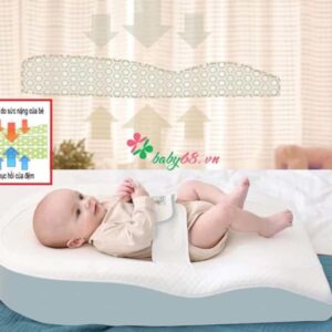 Khả Năng Hấp Thụ Lực 2