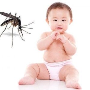 0022633 Chai Tinh Dau Tram Gold Dac Biet 50 Ml