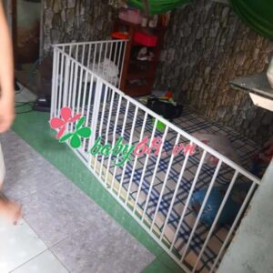 94194241 2486918398225963 8650045790338678784 N