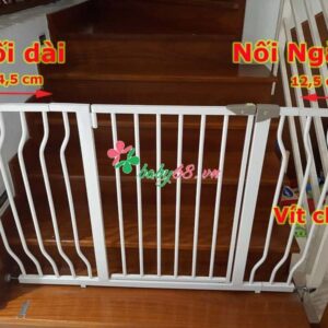 Dai Ngan + Vit Chu U