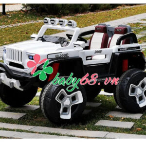 Do Choi O To Dien 1200 9088 2588 903 802 150 570 600x522