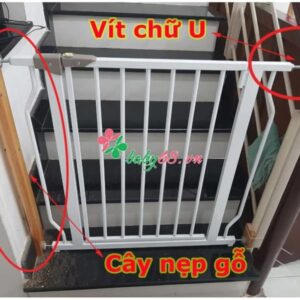 Nẹp Và Vit