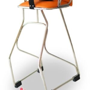 0010227 Ghe Ngoi Xe Tay Ga Cao Cap Homee Cho Be