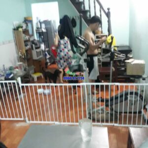 179cfd1c49e19fbfc6f0