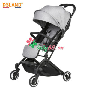 S3011 Xe Day Cao Cap Dsland S3011