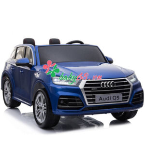 Xe Hoi Dien Audi Q5 3