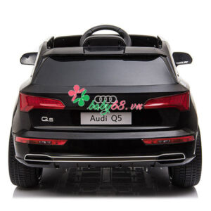 Xe Hoi Dien Audi Q5 5