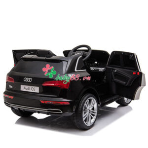 Xe Hoi Dien Audi Q5 6