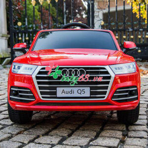 Xe O To Dien Audi Q5 1