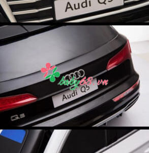 Xe O To Dien Audi Q5 2 1