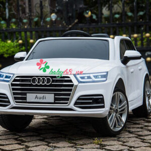 Xe O To Dien Audi Q5 2