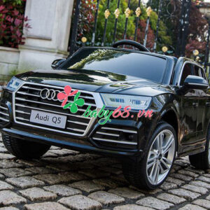 Xe O To Dien Audi Q5 3