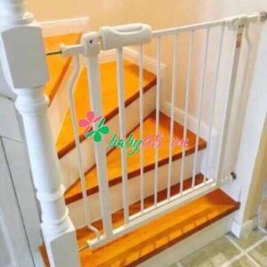 Djjd8njsmszfybelqxua Simg De2fe0 500x500 Maxb