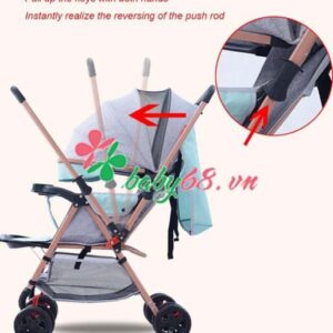 Xe Day Doi Sieu Nhe 2 Trong 1 6603 19