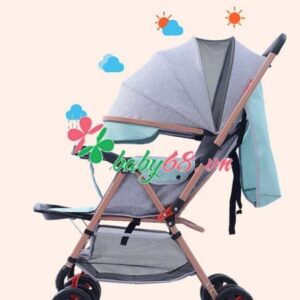 Xe Day Doi Sieu Nhe 2 Trong 1 6603 21