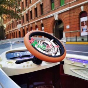 9ae39f13880be3714076d4bca33ec3c1