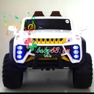 H8a924f6c2b8d496cbfc5aa5d41d4d96fw