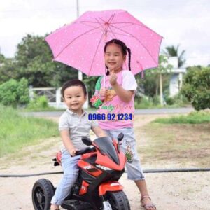 123452321 3459815014135843 7680880414909079212 N