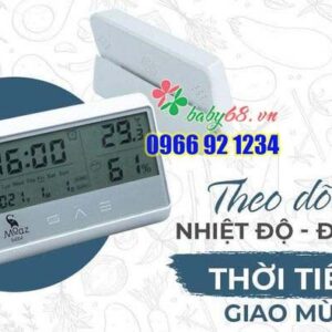 278003060 2609083525903249 3966617105168112786 N