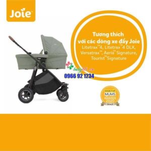 Ramble Xll 02 A4628a5bad9344f2be2af8cf4df72607 Grande