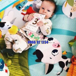 79aed49478ada6f3ffbc