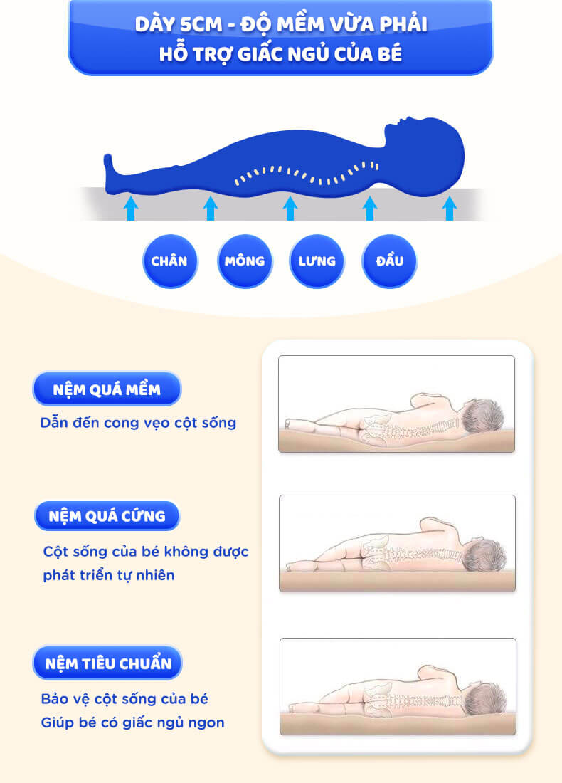 Chi tiết nệm xơ dừa cho bé nem-xo-dua-giup-ngan-ngua-cac-benh-ve-cot-song