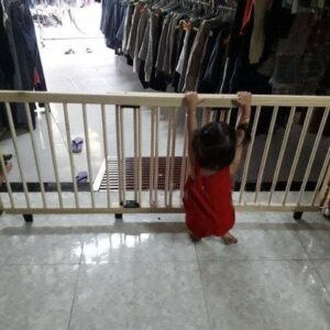 0026033 Rao Chan Chicky Timber Barrier