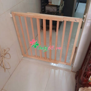 91582472 126057485672359 7564120570049069056 O