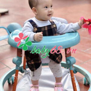 B69ebb5a1c19f0aebcaa3fb3dfafbd19