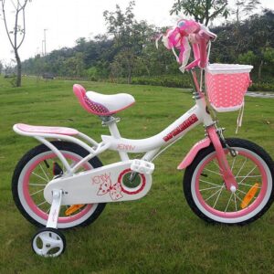 Xe đạp RoyalBaby Jenny G-4