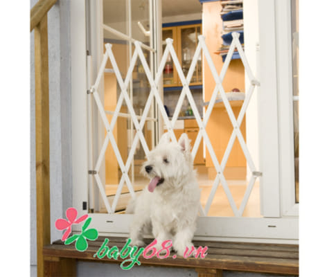 Rào chắn cửa Coco