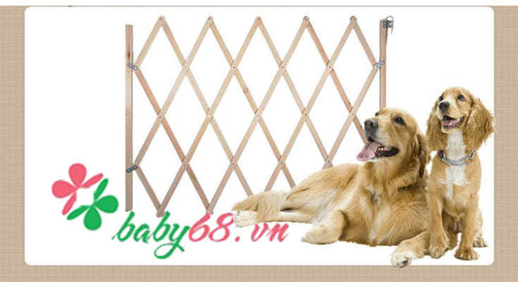 Rào chắn cửa Coco