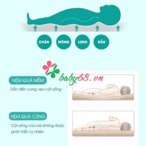 2e29be28a4b45eea07a5