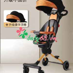 Xe Day Baobaohao Deluxe V5 B 3