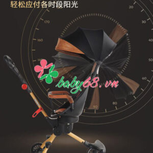 Xe Day Baobaohao V5 B Deluxe 2