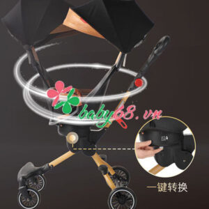 Xe Day Baobaohao V5 B Deluxe 5