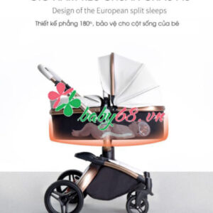 Xe Day Max S 360 Chilux 21