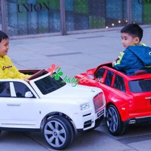 151600773 3766713320112676 6986524960554015056 N