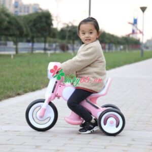 124467839 3998109093535738 8013859121213166743 N