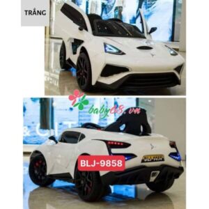 190990181 311901277091362 5066151053274320619 N