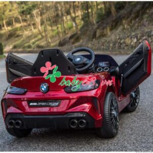 Rwsestj81569059988 700x700