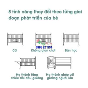 1608275777 Cui Go Khong Son 5