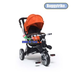 17617120 1469688666384397 3349218400818692096 N