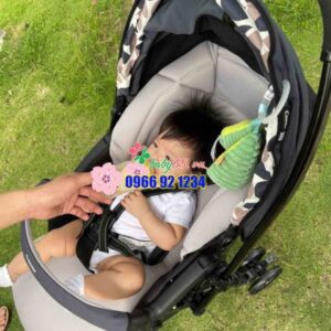 272966411 469924531492471 4767793771046446934 N